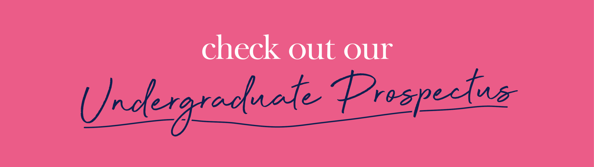 prospectus banner