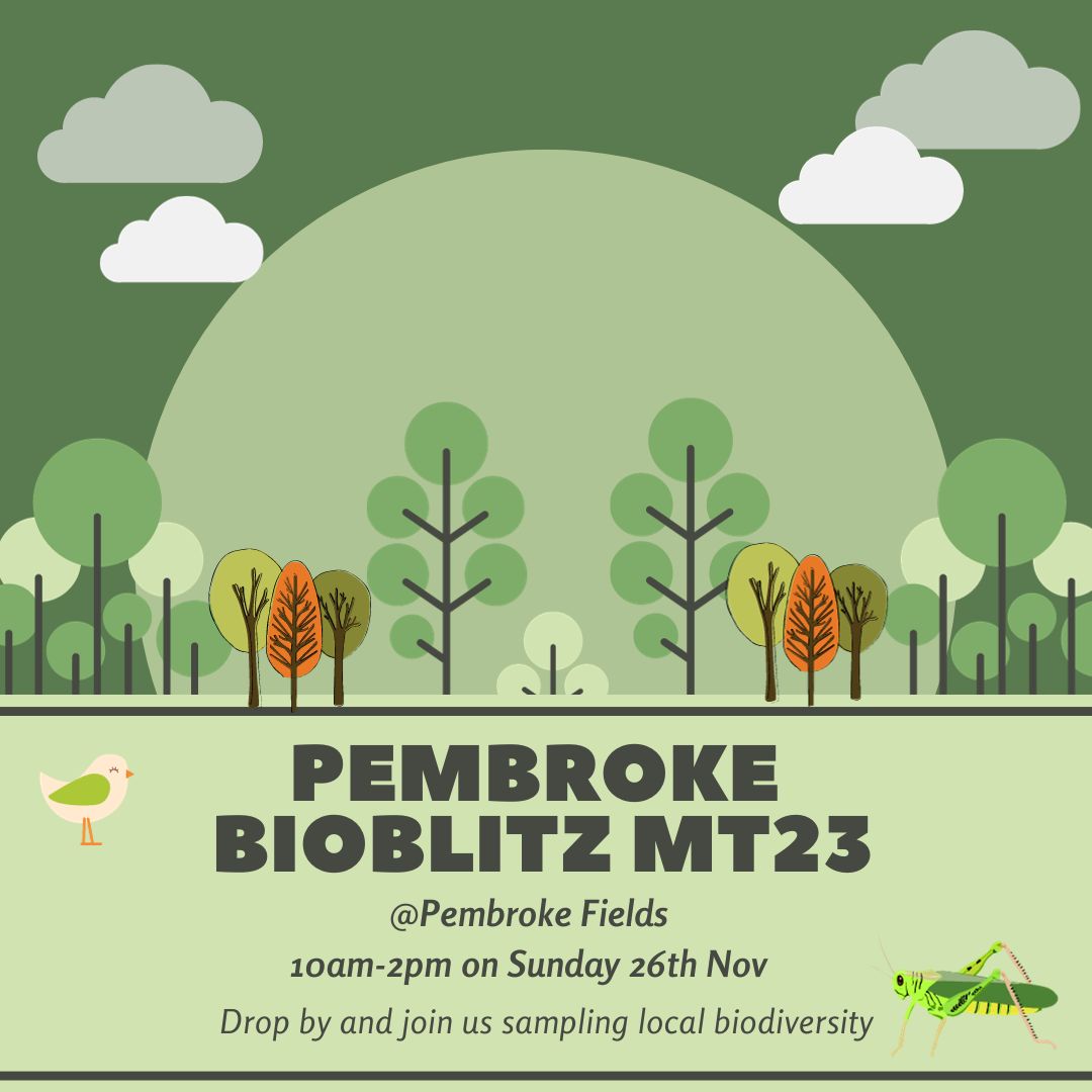 A graphic with the words "Pembroke Bioblitz MT23" displayed over cartoon trees in the background.