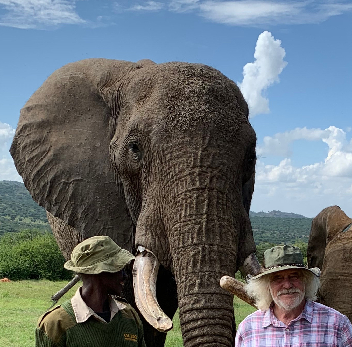 Fritz Vollrath and his colleague standing with an African elephant.