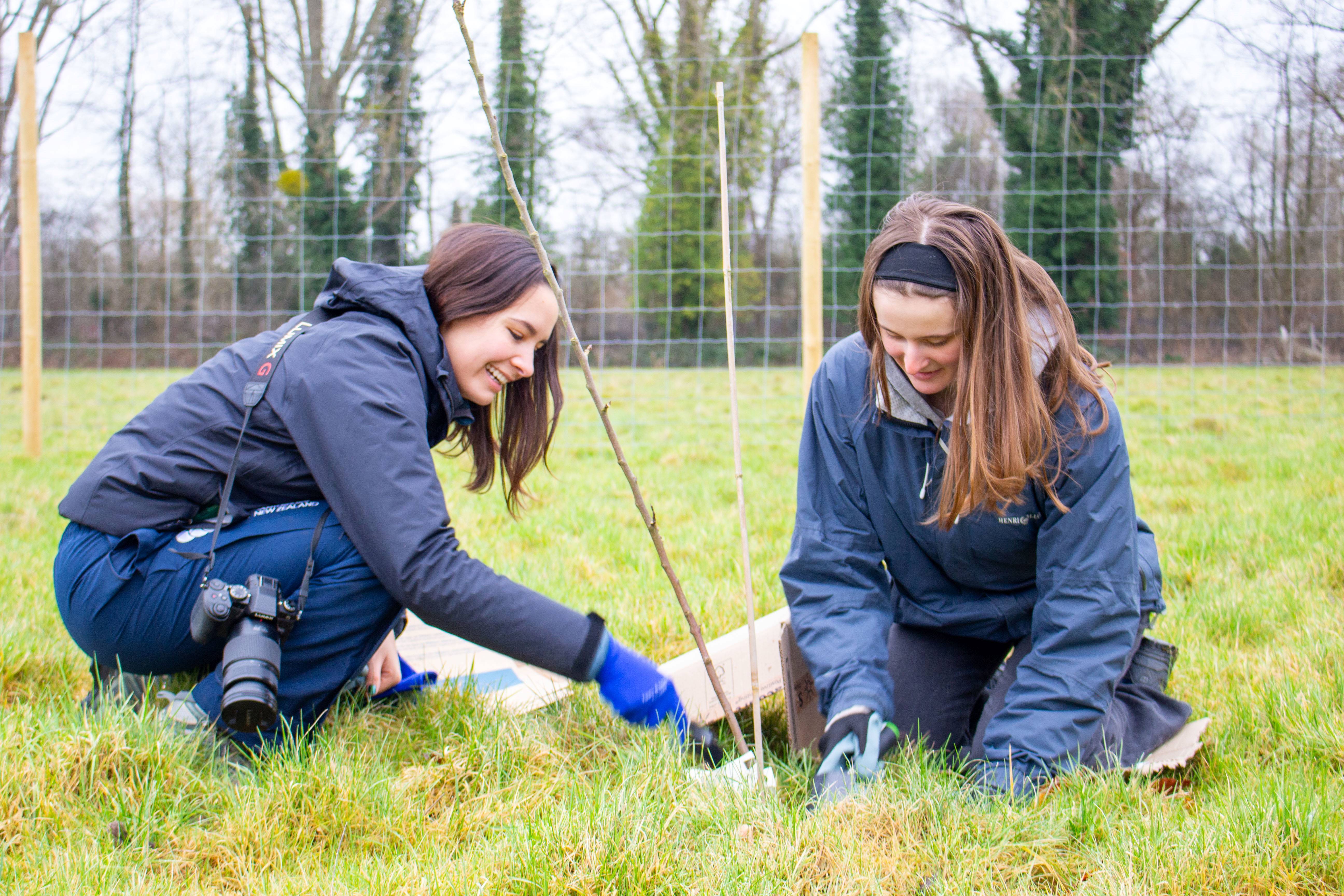 Two students planting a tree