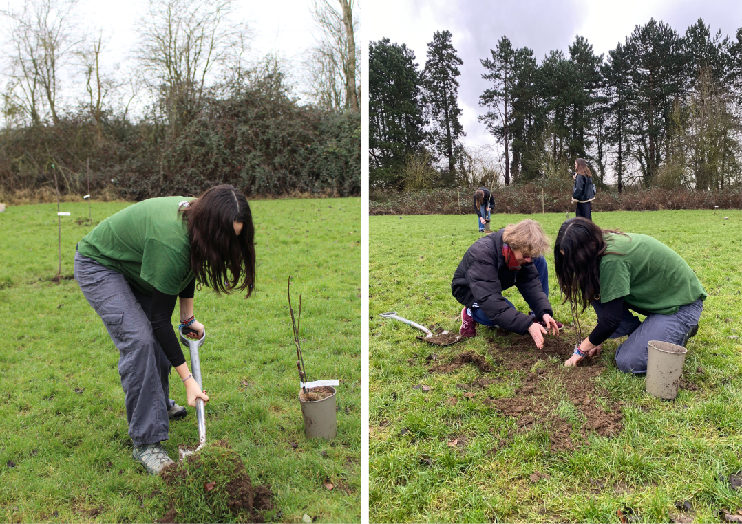 Student and Bursar planting trees