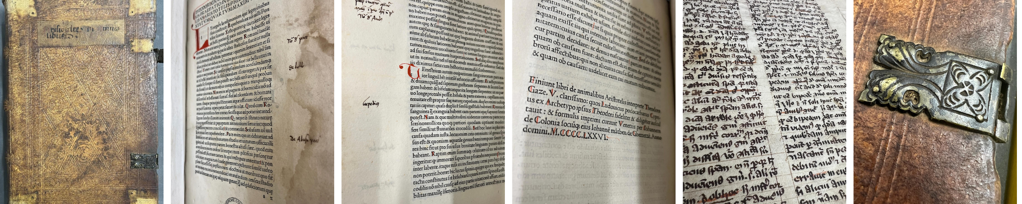 Six photos of Theodorus Gaza's translation of Aristole's de Animalibus; an old, leather-bound printed book in the style of a manuscript.