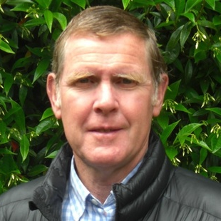 Sandy Storrie