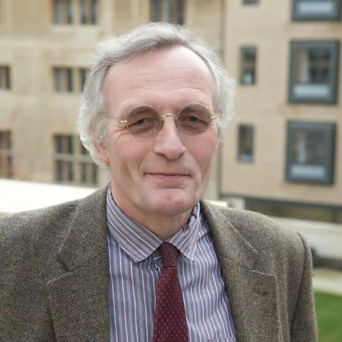 Theo van Lint Headshot